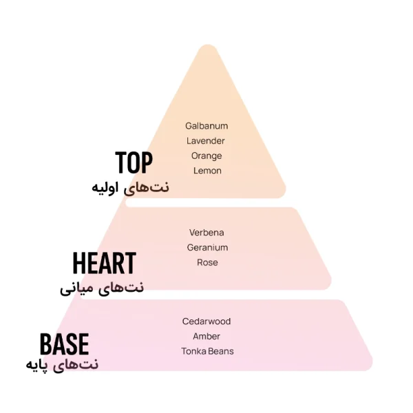 خوشبو کننده خودرو آرئون مدل Ken با رایحه Anti Tobacco -کد 2025 - Image 2